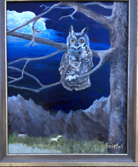 owl